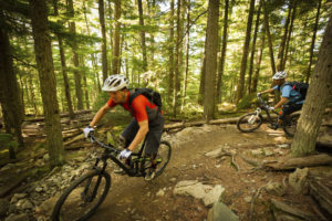 Two men mountain biking through the woods.