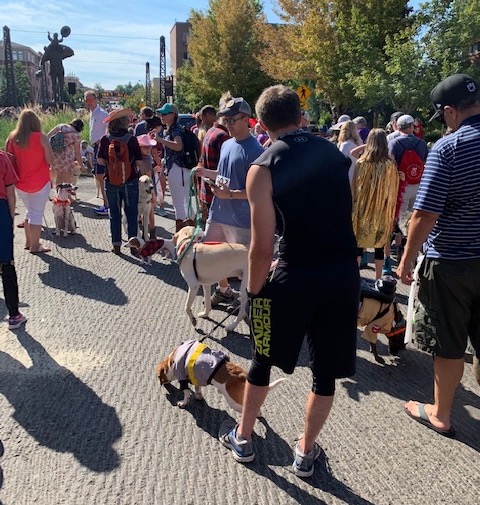 People gathering at Toby's Pet Parade